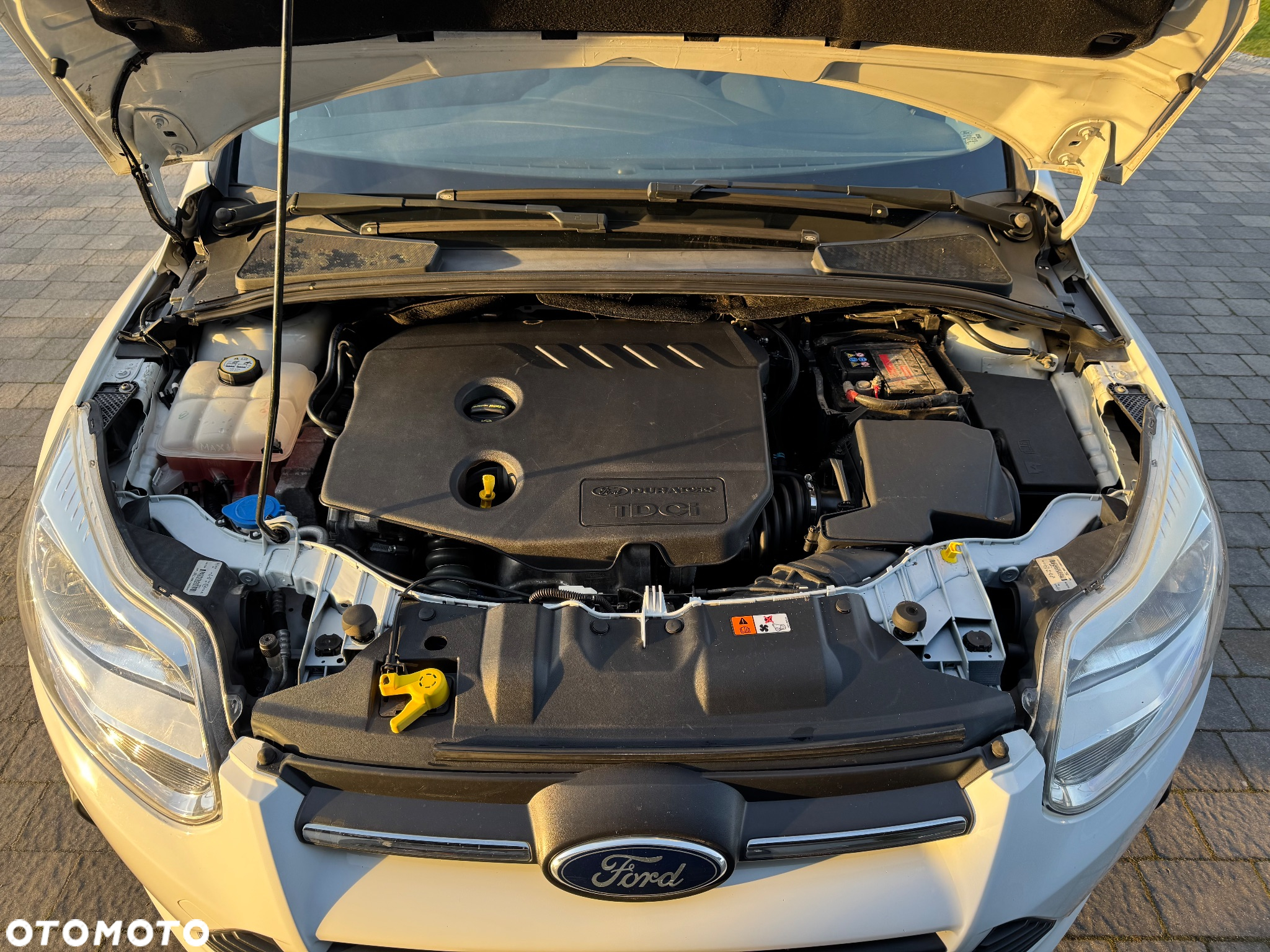 Ford Focus 1.6 TDCi Ambiente - 10