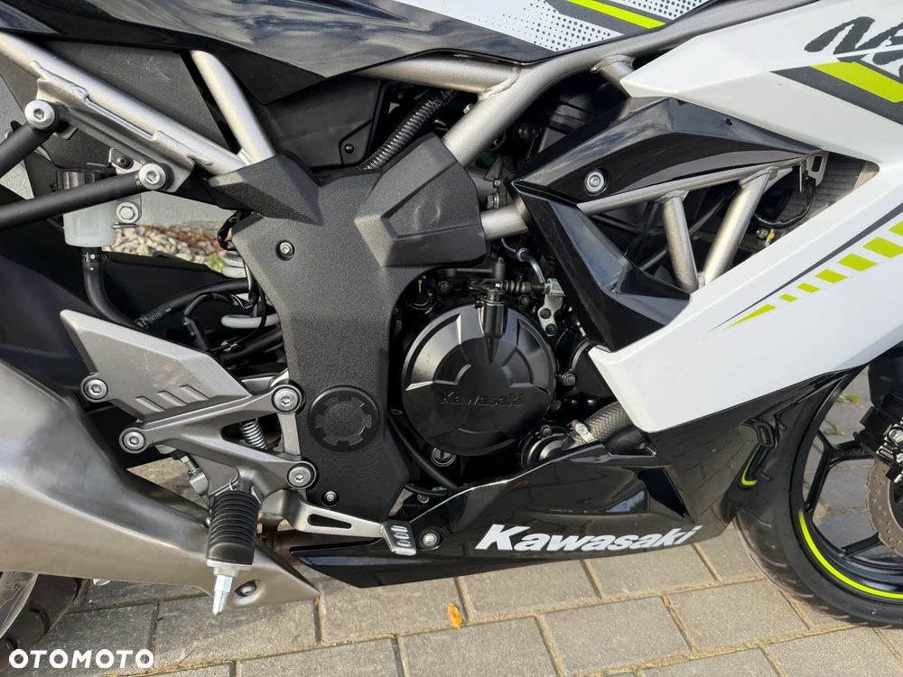 Kawasaki Ninja - 18