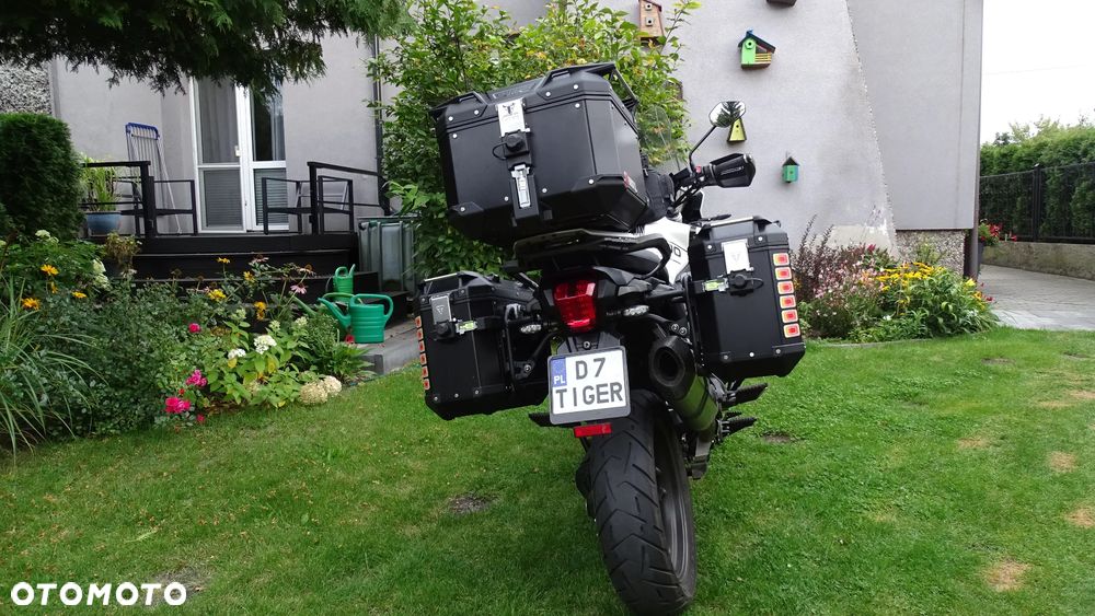 Triumph Tiger - 8