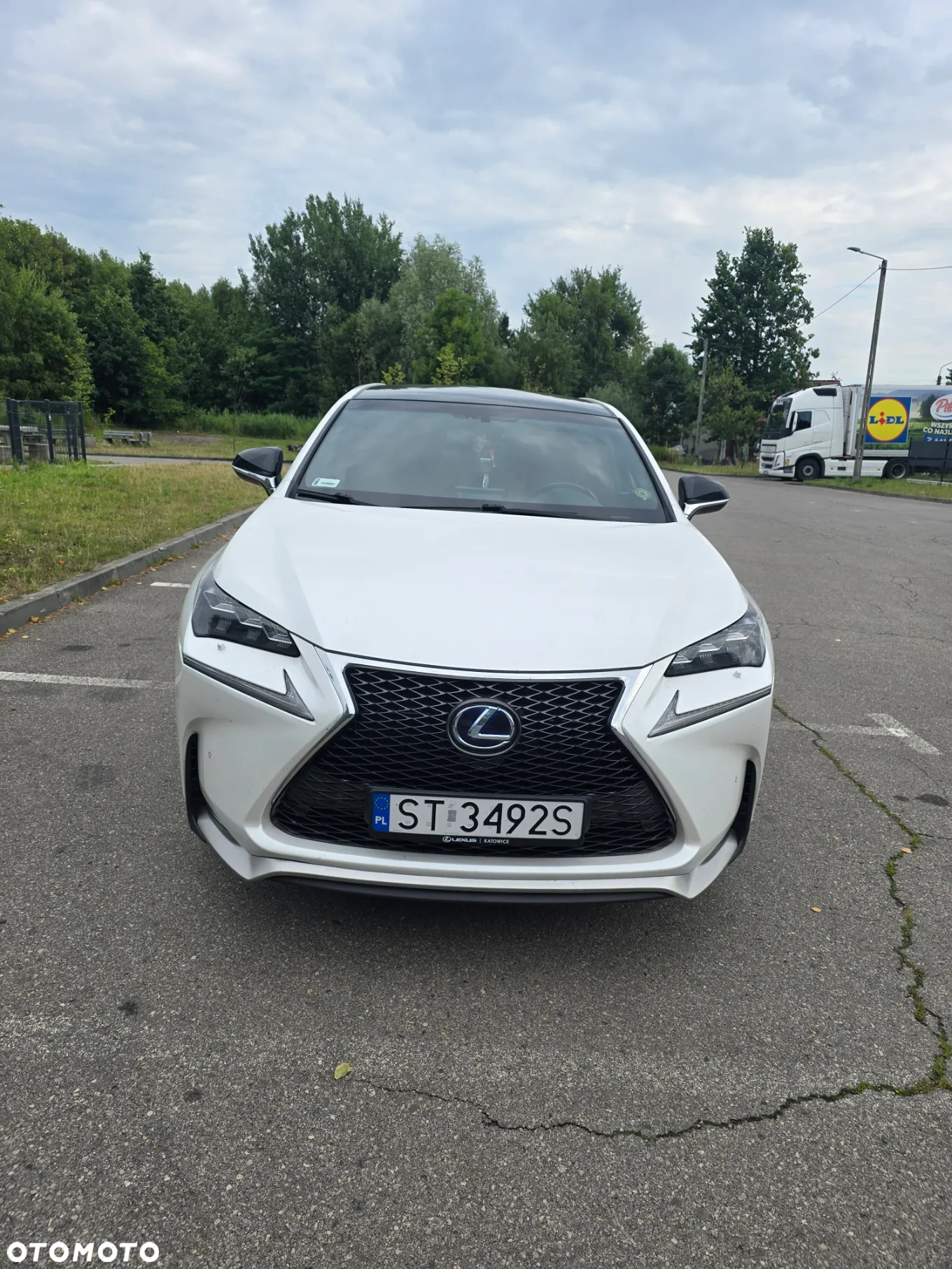 Lexus NX 300h F Sport Edition AWD - 2