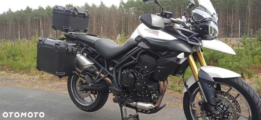 Triumph Tiger - 5
