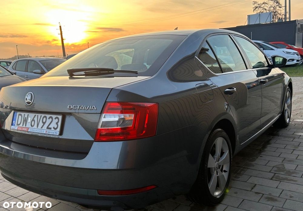 Skoda Octavia - 14