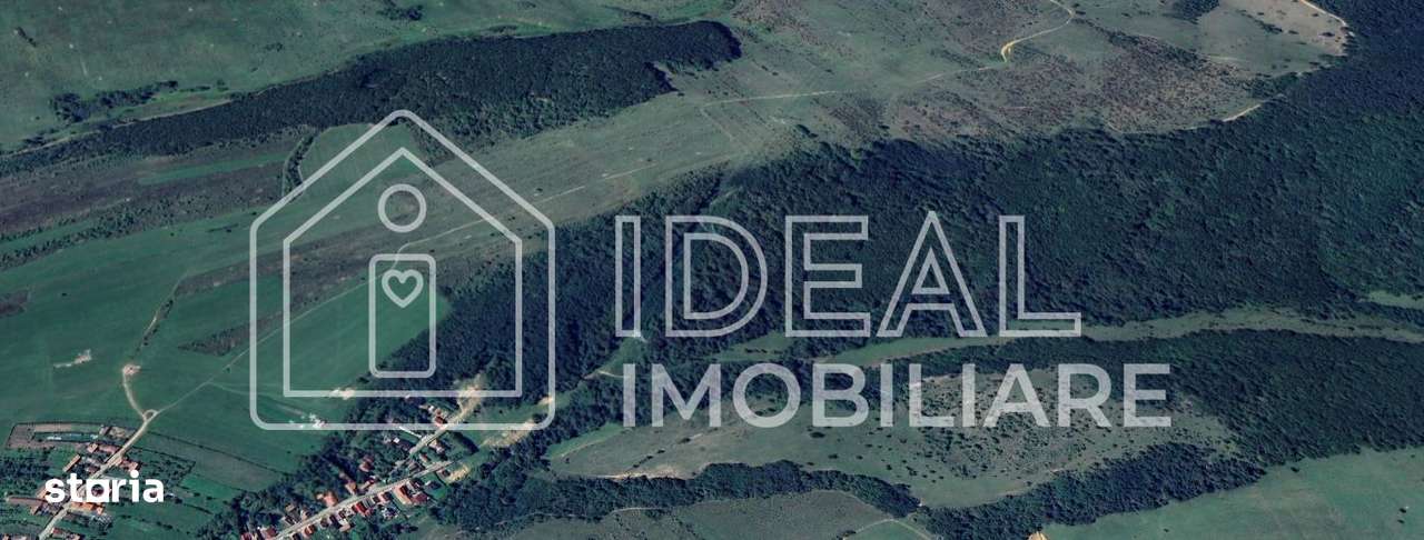 Pădure matură 12,71 ha - Mag, jud. Sibiu - potențial exploatare 2025 - Imagine principală: 2/3