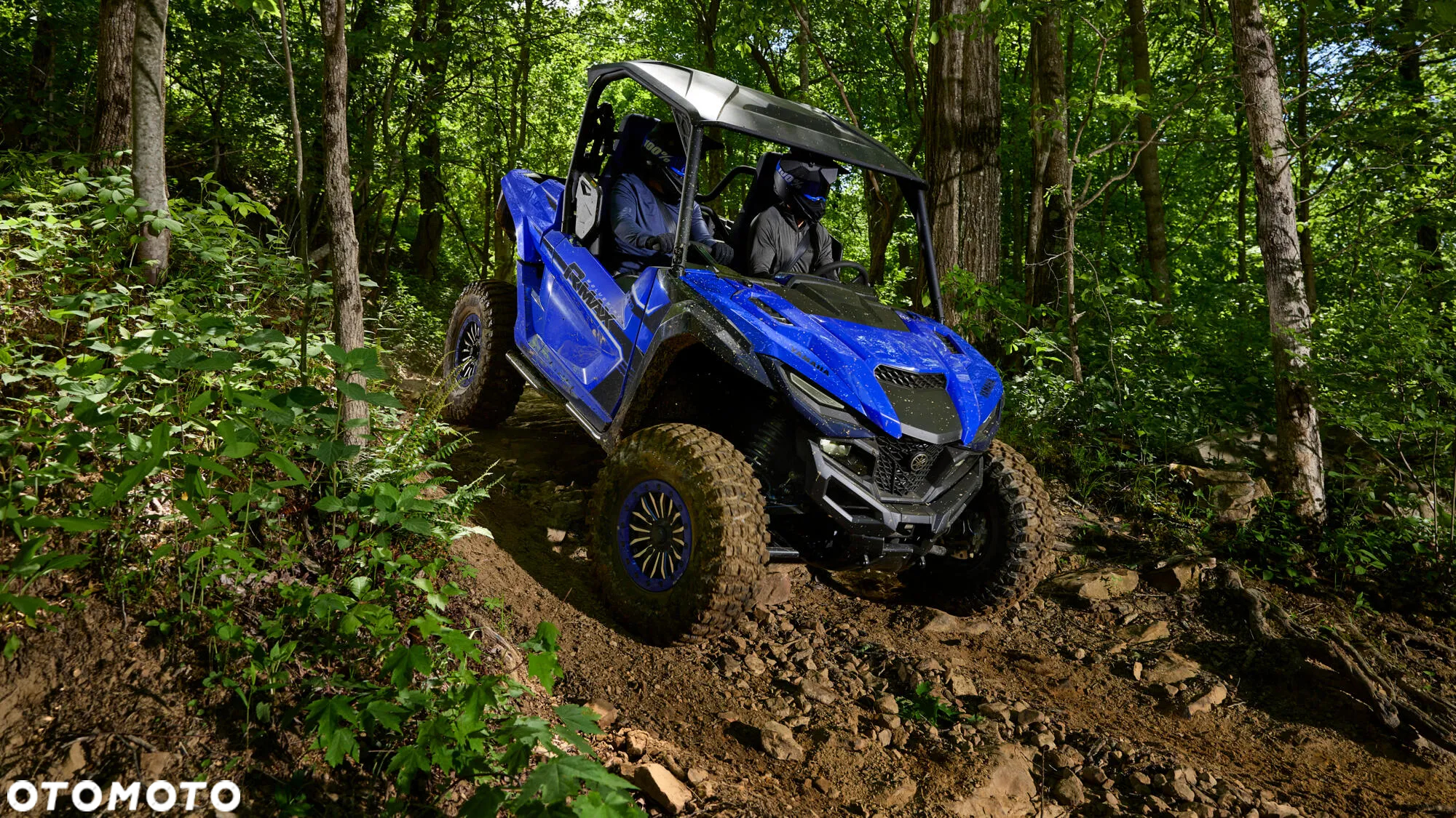Yamaha Wolverine - 5