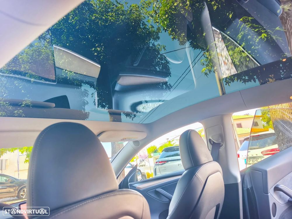 Tesla Model Y Performance Dual Motor AWD - 19
