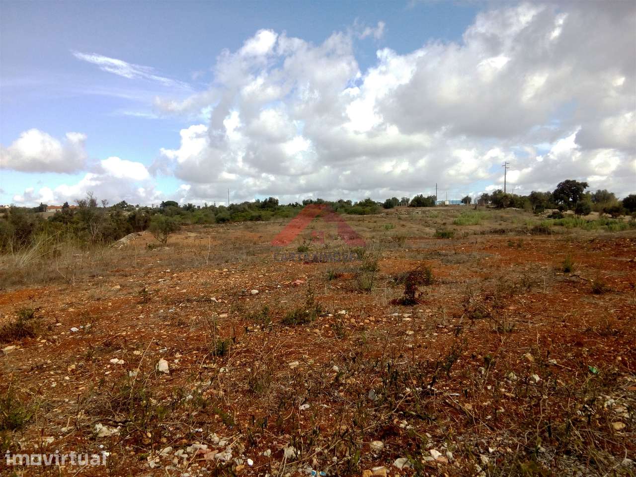 Terreno  Venda em Pontével,Cartaxo - Grande imagem: 3/6