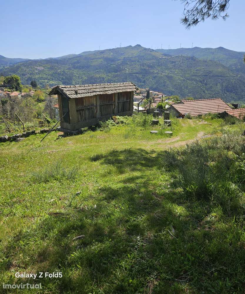 FABULOSO TERRENO COM 2000 M2 EM CINFÃES - Grande imagem: 3/37
