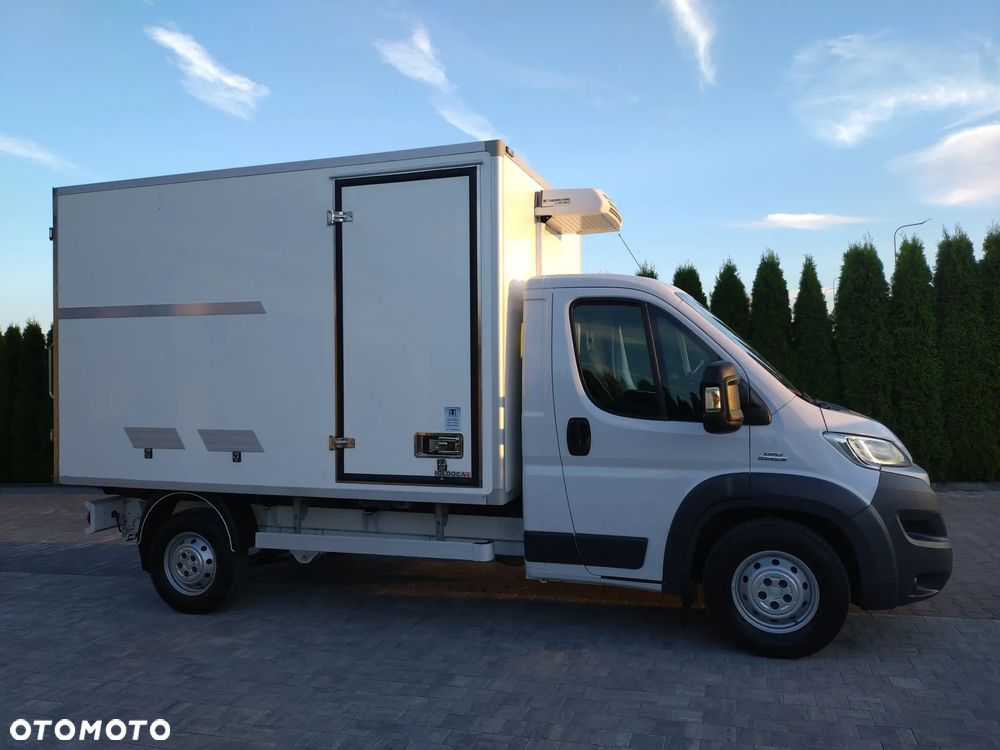 Fiat Ducato Chłodnia ThermoKing - 6