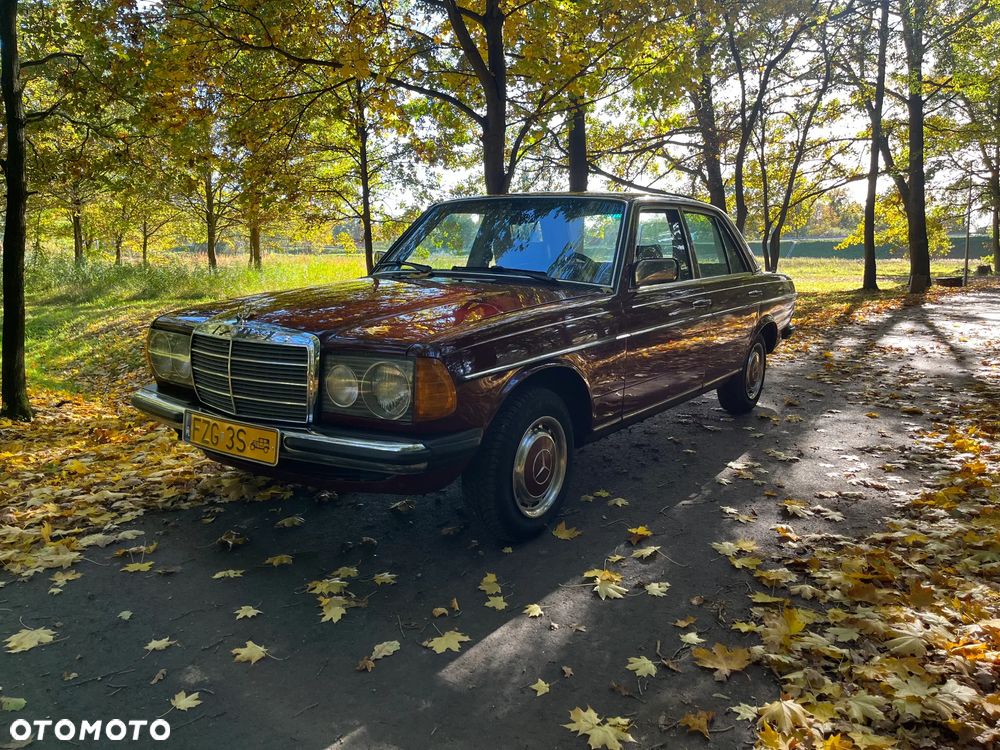 Mercedes-Benz W123 - 20