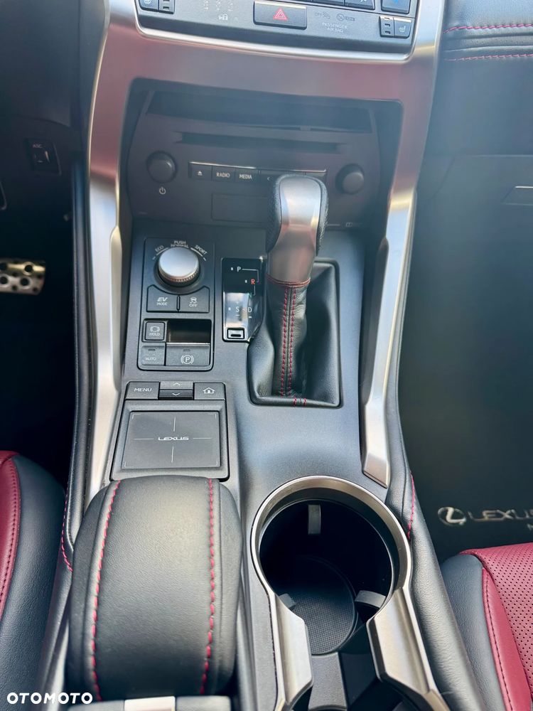 Lexus NX 300h F Sport AWD - 20