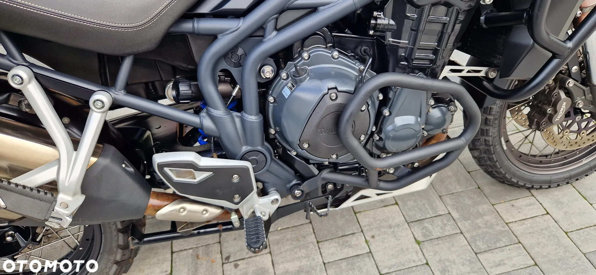 Triumph Tiger - 7