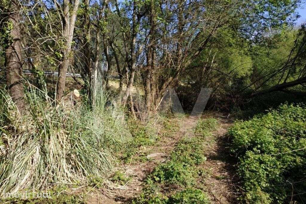 Terreno rústico com 4.080m2 na Avenida Jaime Isidoro (VL5) em Perosinh - Grande imagem: 3/20