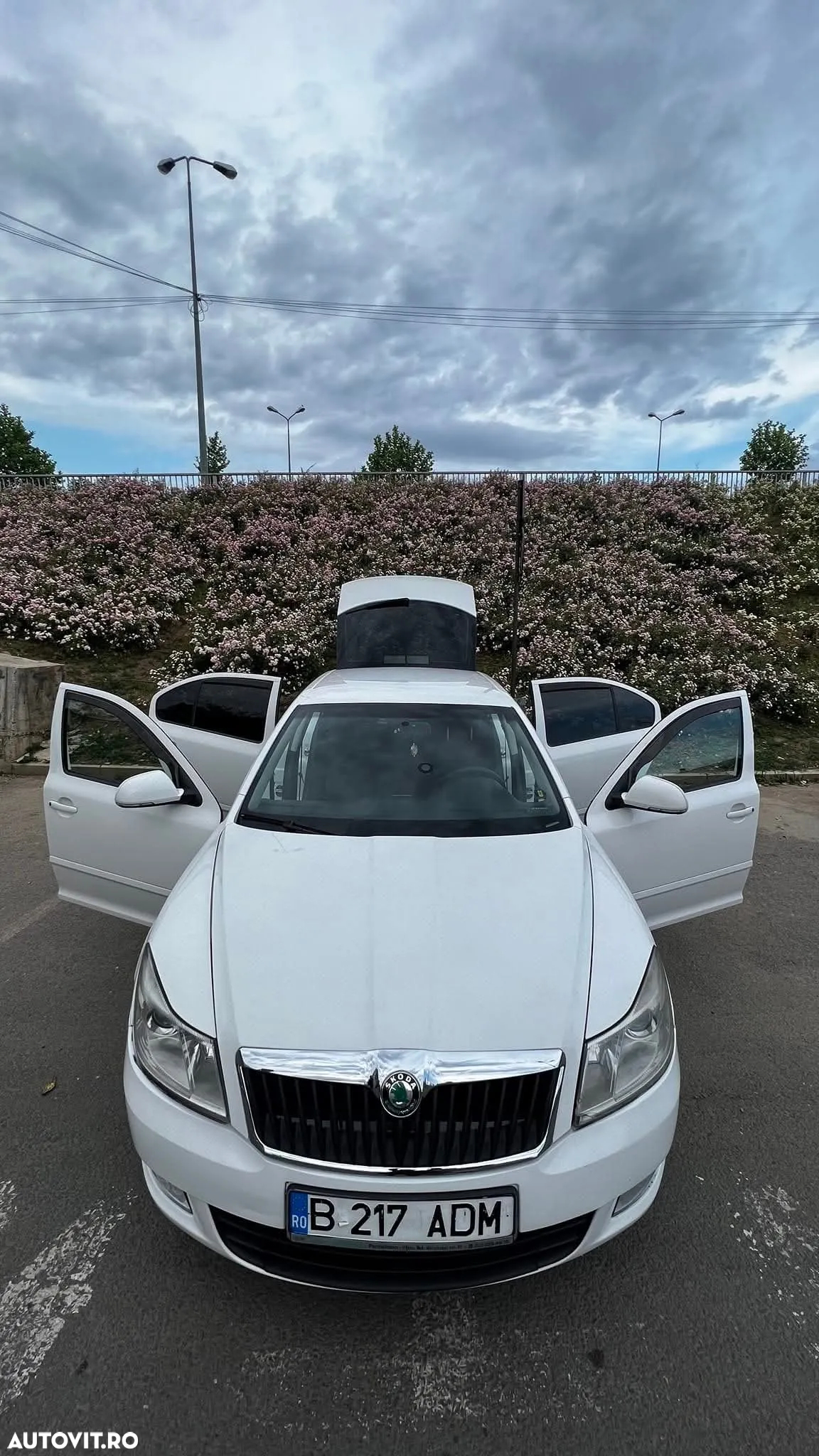 Skoda Octavia 1.6 TDI Drive - 15