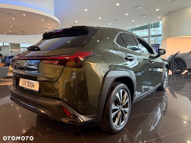 Lexus UX 300h F Sport Design - 4