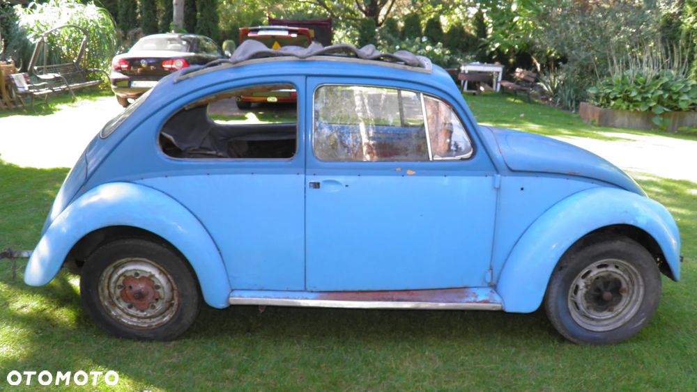 Volkswagen Beetle - 7