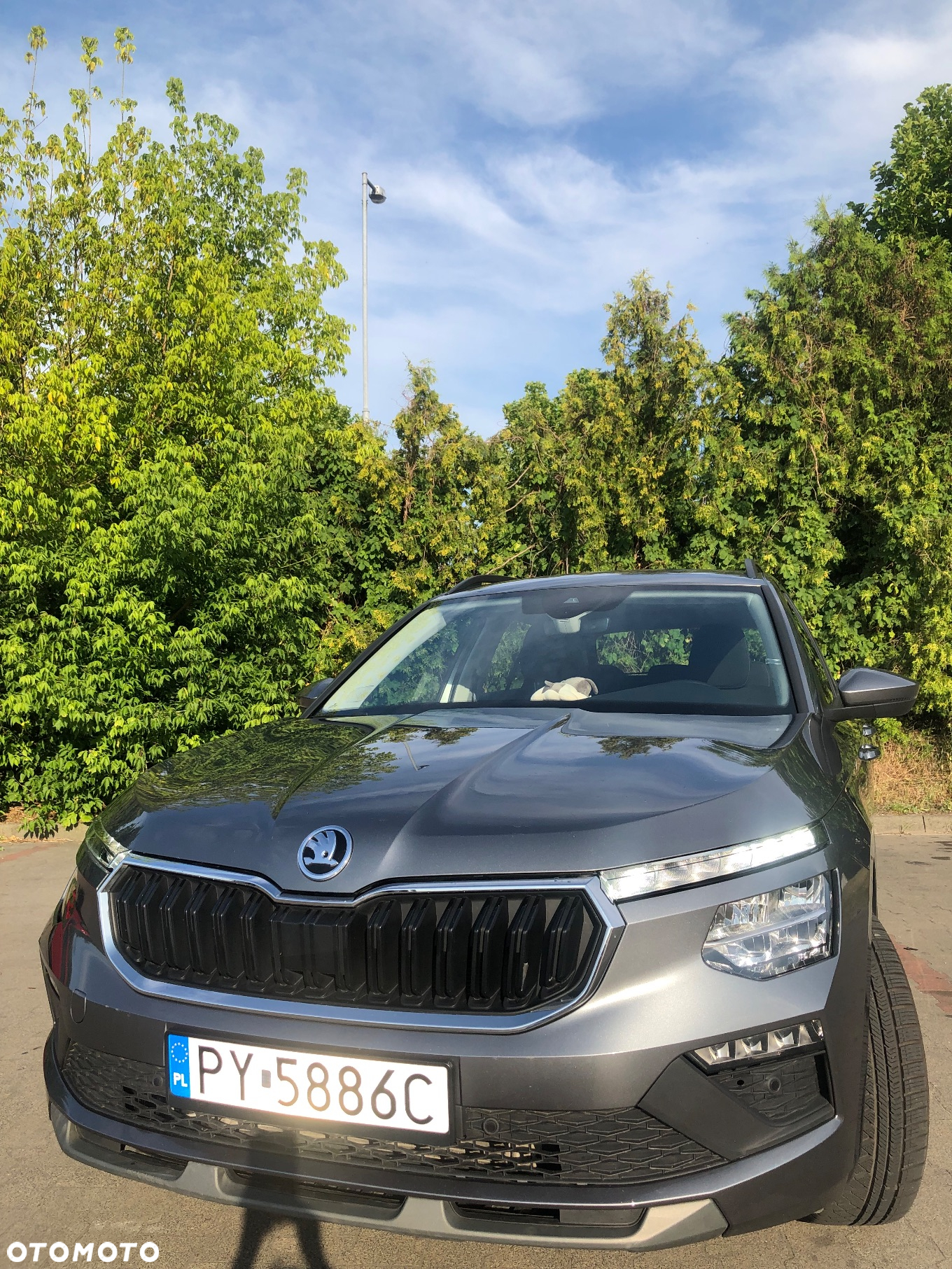 Skoda Kamiq - 2