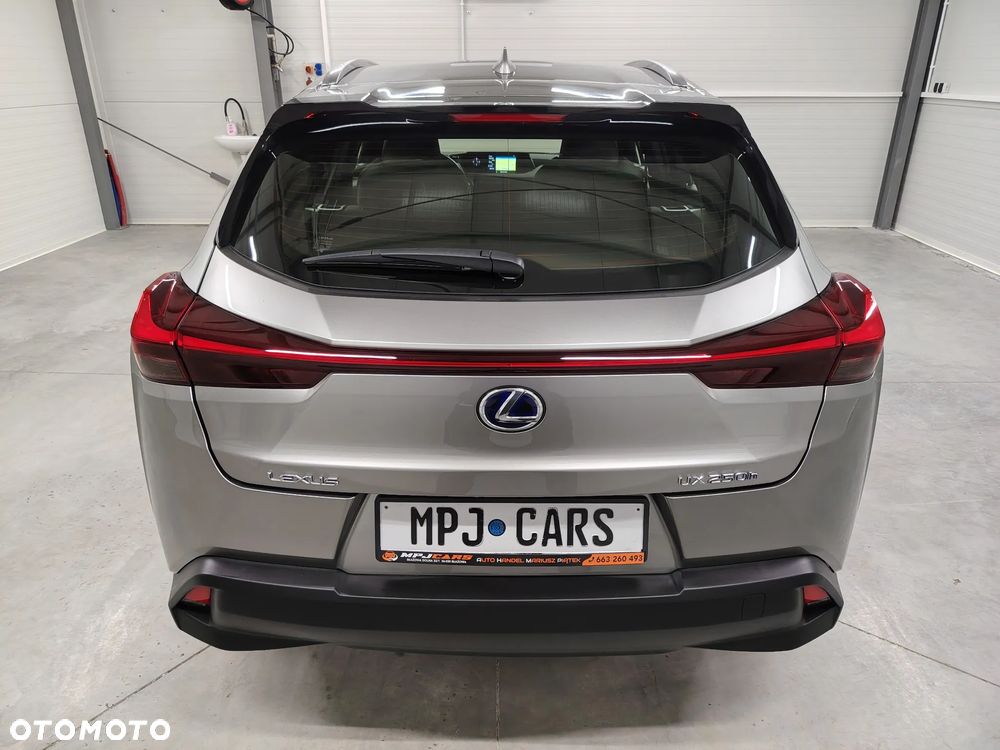 Lexus UX 250h Elegance 2WD - 12