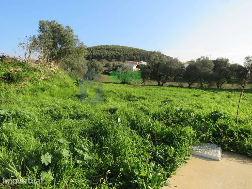 Quinta em São Miguel de Alcainça - Grande imagem: 4/34