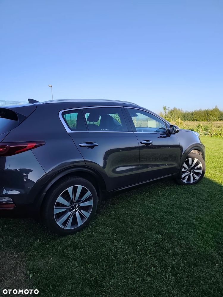 Kia Sportage 1.6 CRDI AWD Eco-Dynamics+ (48V M-H) DCT Black Edition - 8