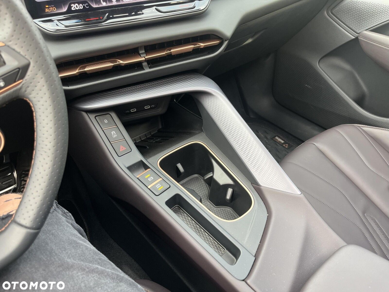 Cupra Terramar - 18