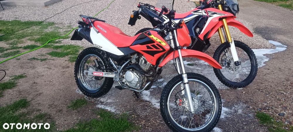 Honda XR - 15