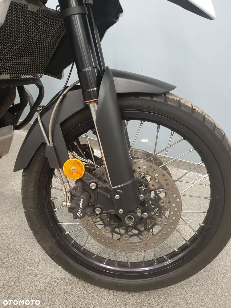 Triumph Tiger - 15