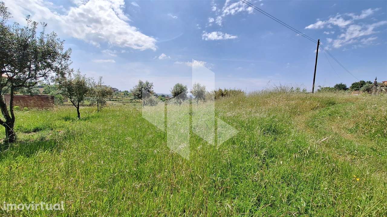 Terreno Rústico  Venda em Lajeosa do Dão,Tondela - Grande imagem: 4/9