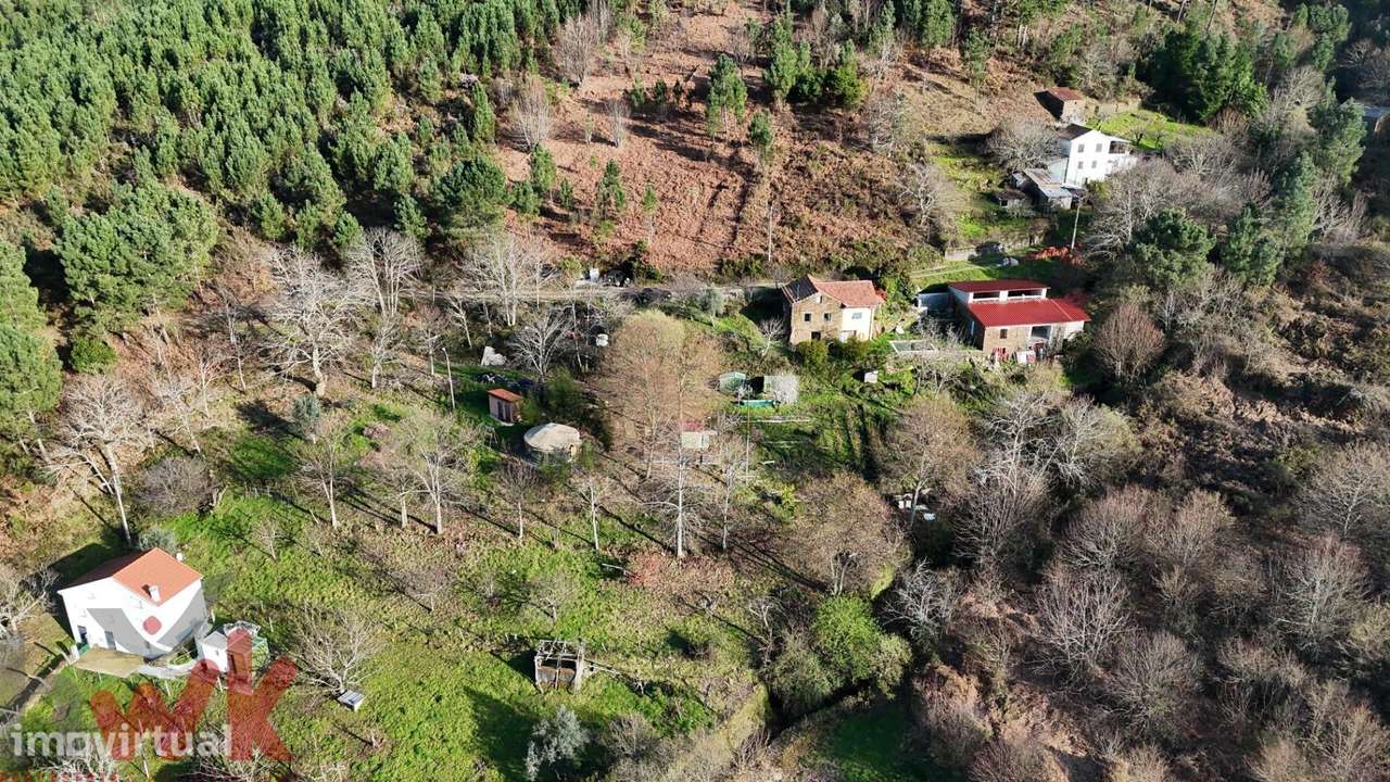 QUINTA 9.630m2, casa 54m2, anexo 104m2, com ribeiro - Grande imagem: 4/47
