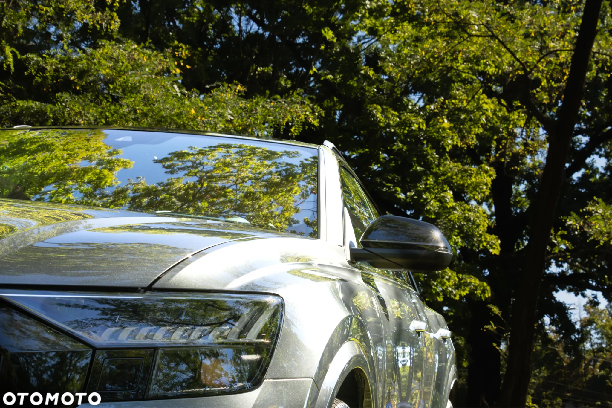 Audi RS Q8 - 39
