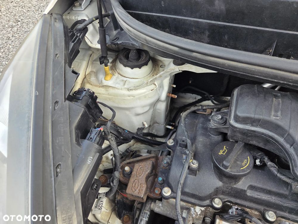 Kia Picanto 1.2 Dream Team Edition - 18