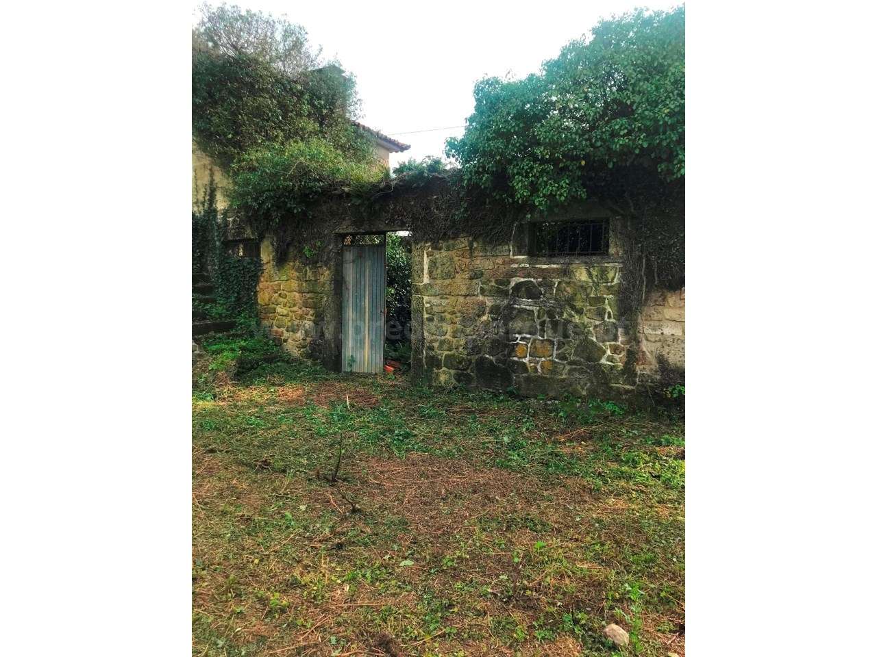 Quinta em Barcelos - Grande imagem: 5/5