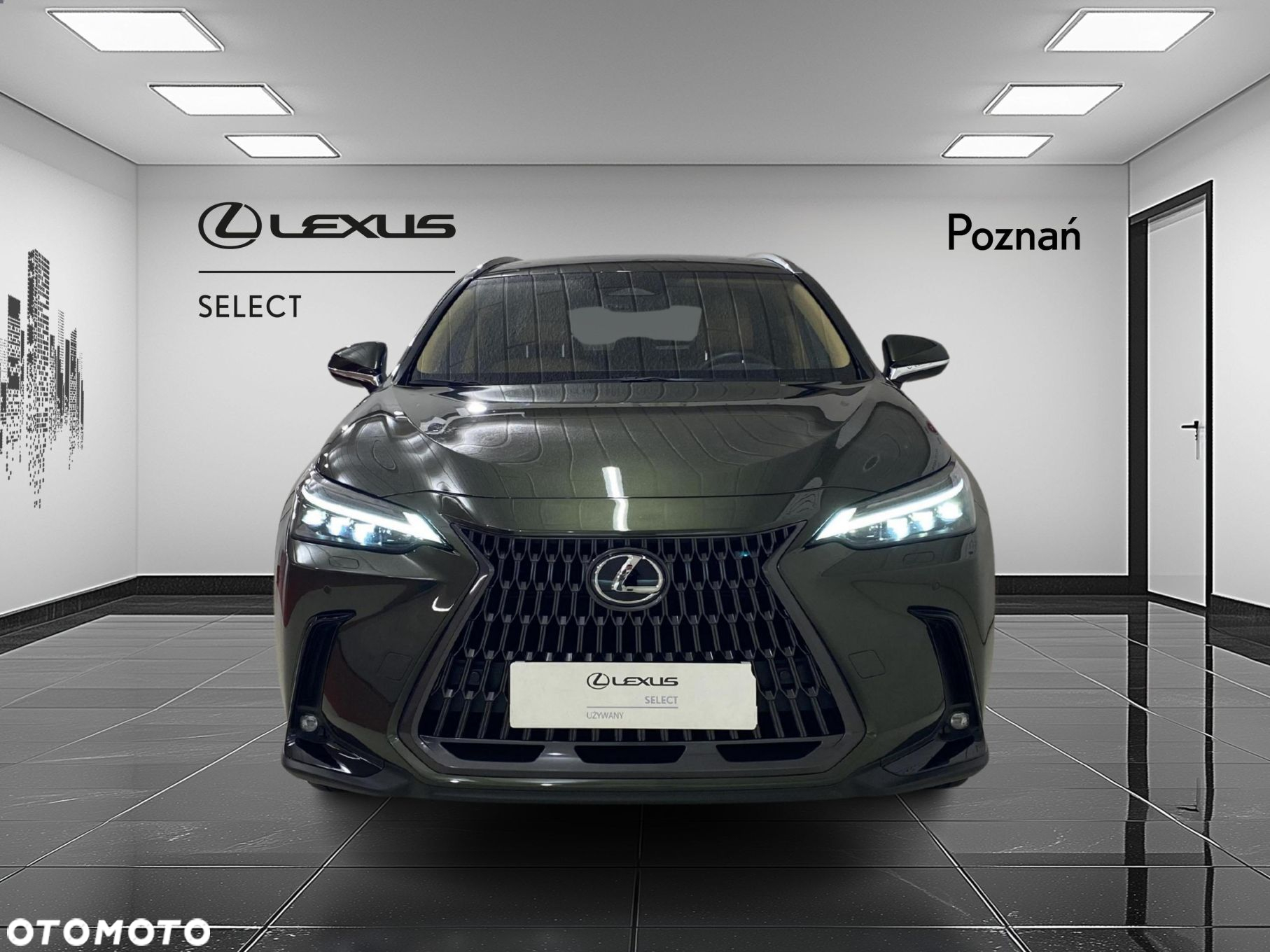 Lexus NX - 6