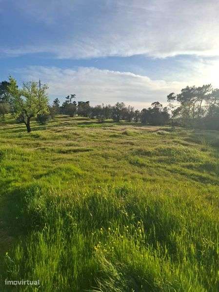Terreno com casa velha com 34.320 m2