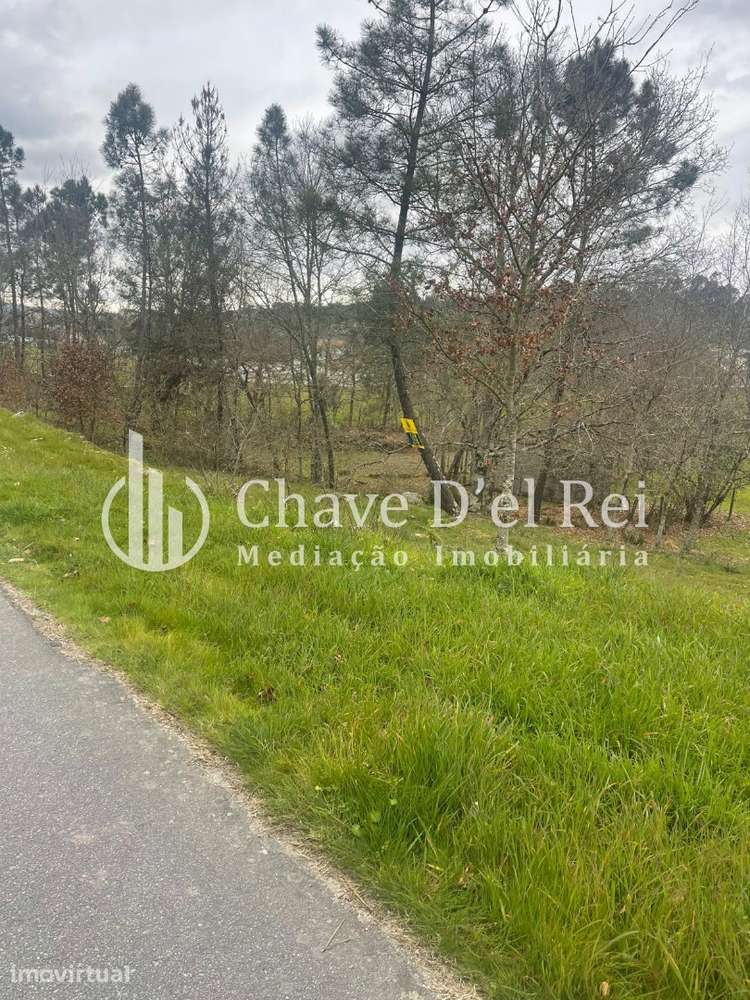 Terreno Misto  Venda em São Miguel do Mato,Vouzela - Grande imagem: 2/4