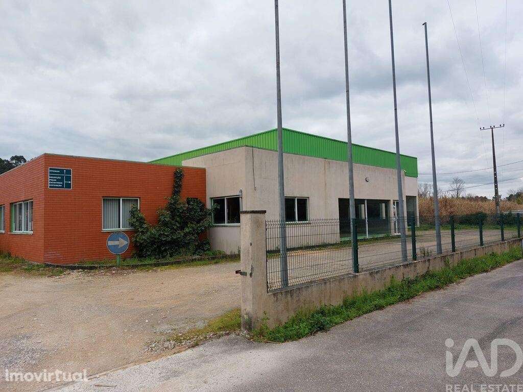 Loja / Estabelecimento Comercial T3 em Cantanhede e Pocariça de 828,00 - Grande imagem: 4/18