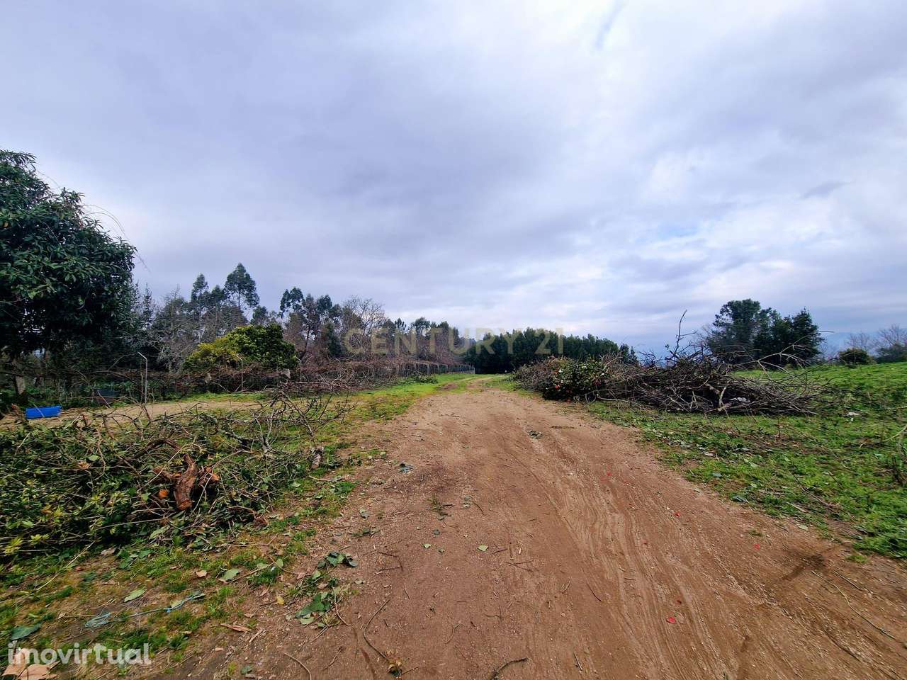Terreno industrial 9.833m2 - Ponte da Barca - Grande imagem: 2/8