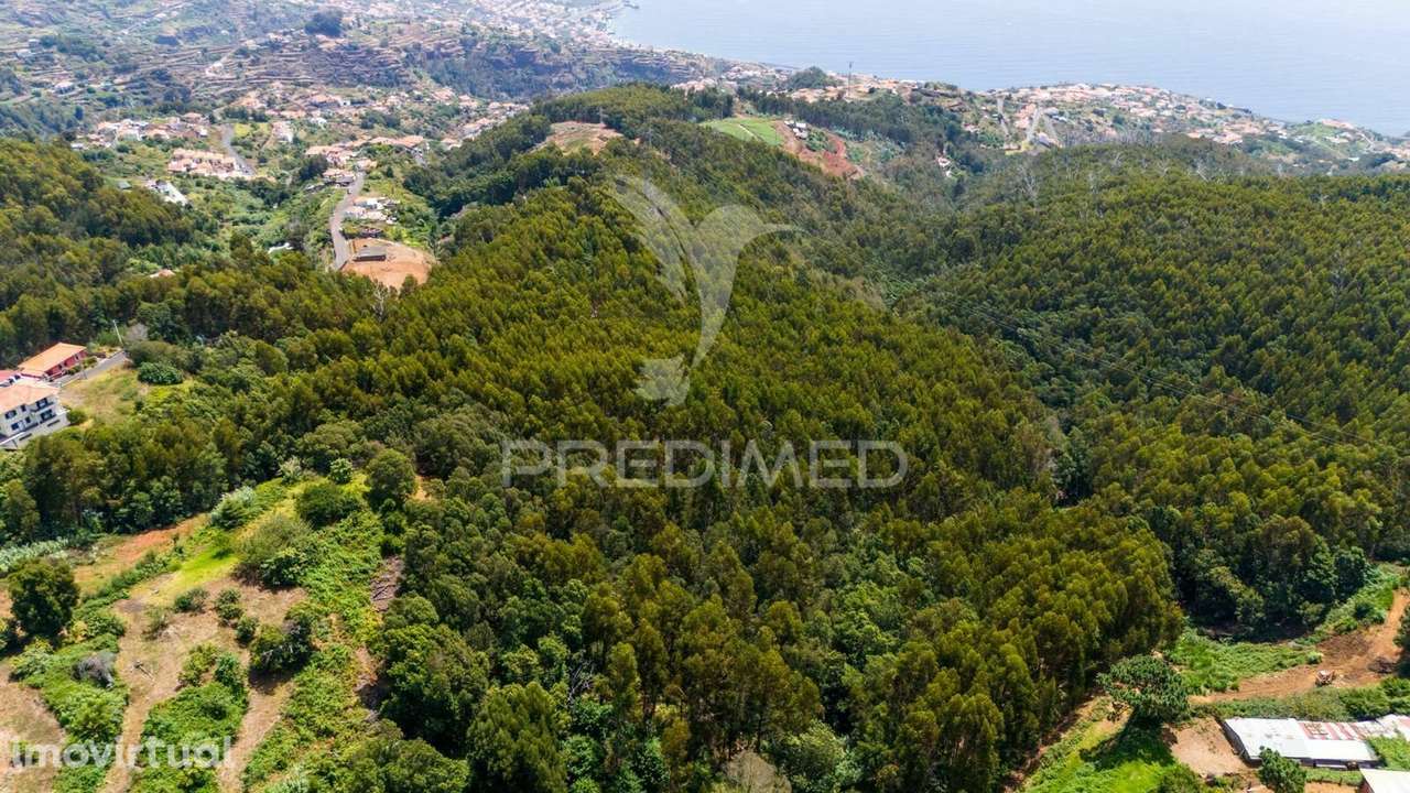 Terreno Rústico - Ideal para Projeto Agrícola - Grande imagem: 2/4