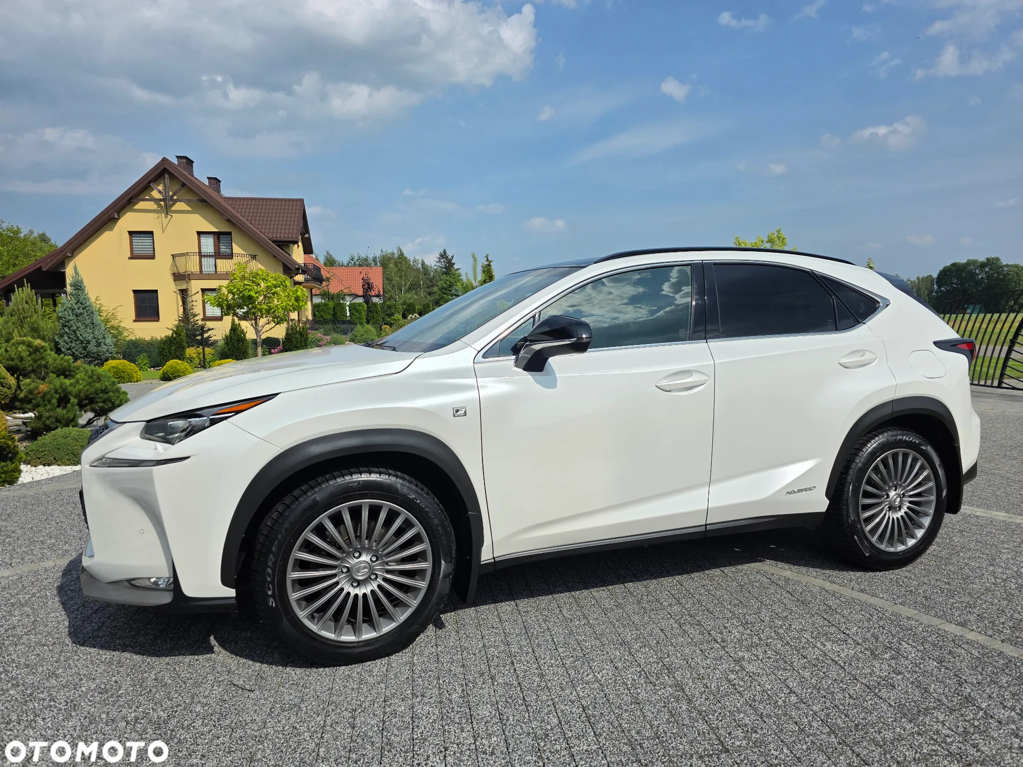 Lexus NX 300h E-FOUR F SPORT - 10