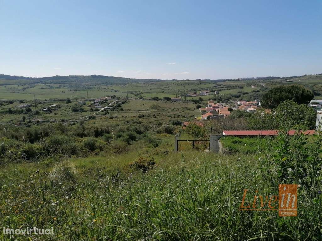 Terreno Rústico com 39600m2 em Pêro Pinheiro - Grande imagem: 3/6