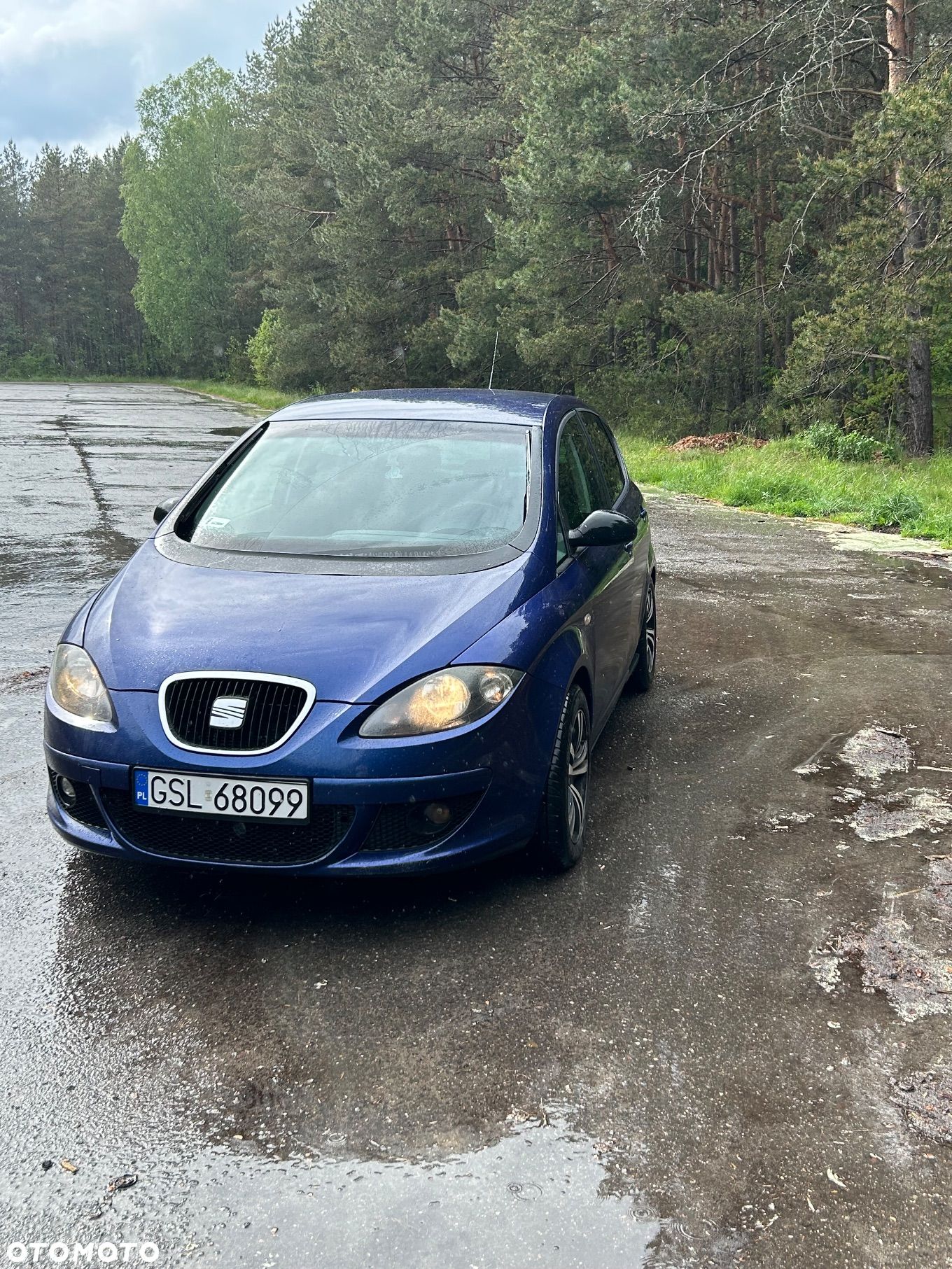 Seat Altea - 1
