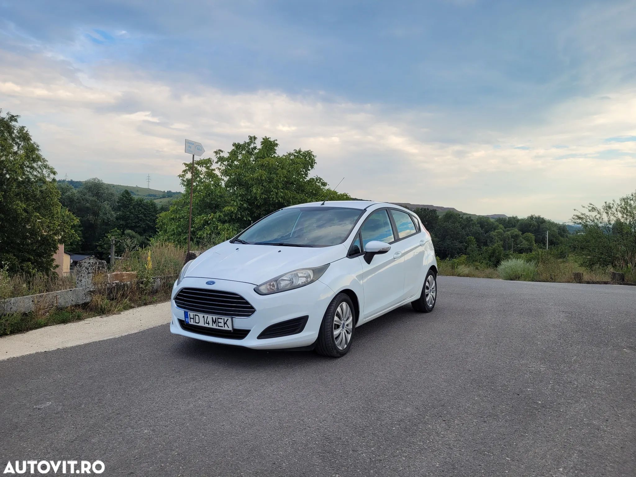 Ford Fiesta - 1