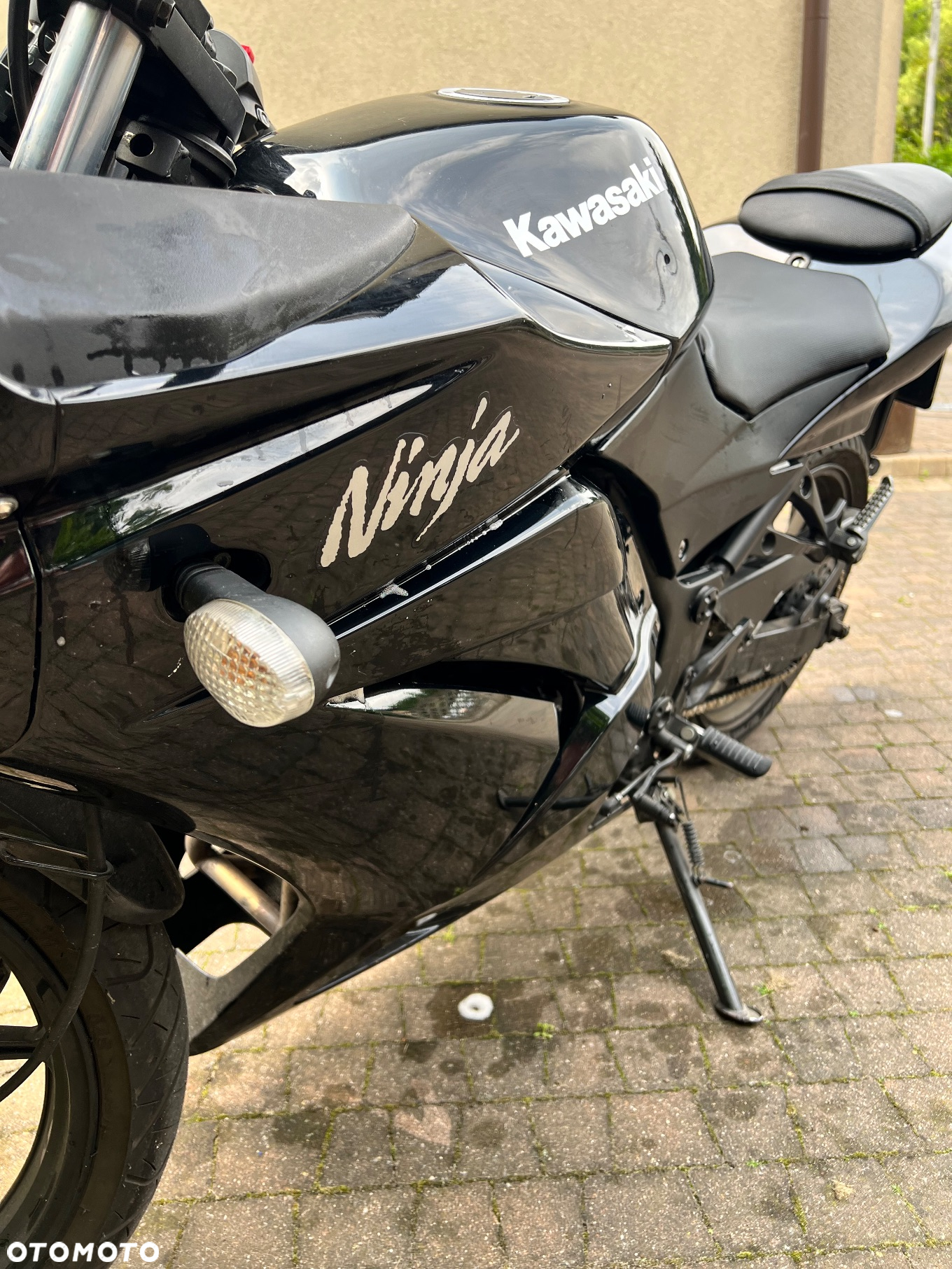 Kawasaki Ninja 250R - 3