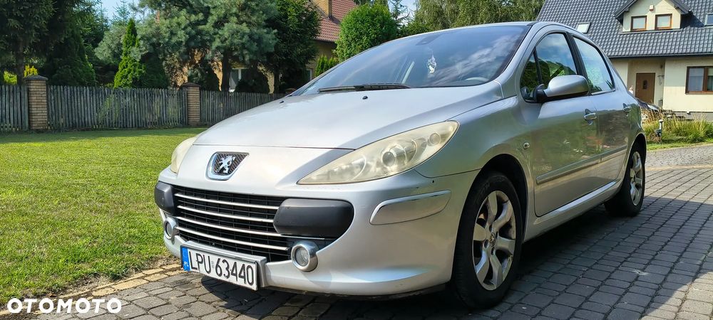 Peugeot 307 1.6 Oxygo - 9