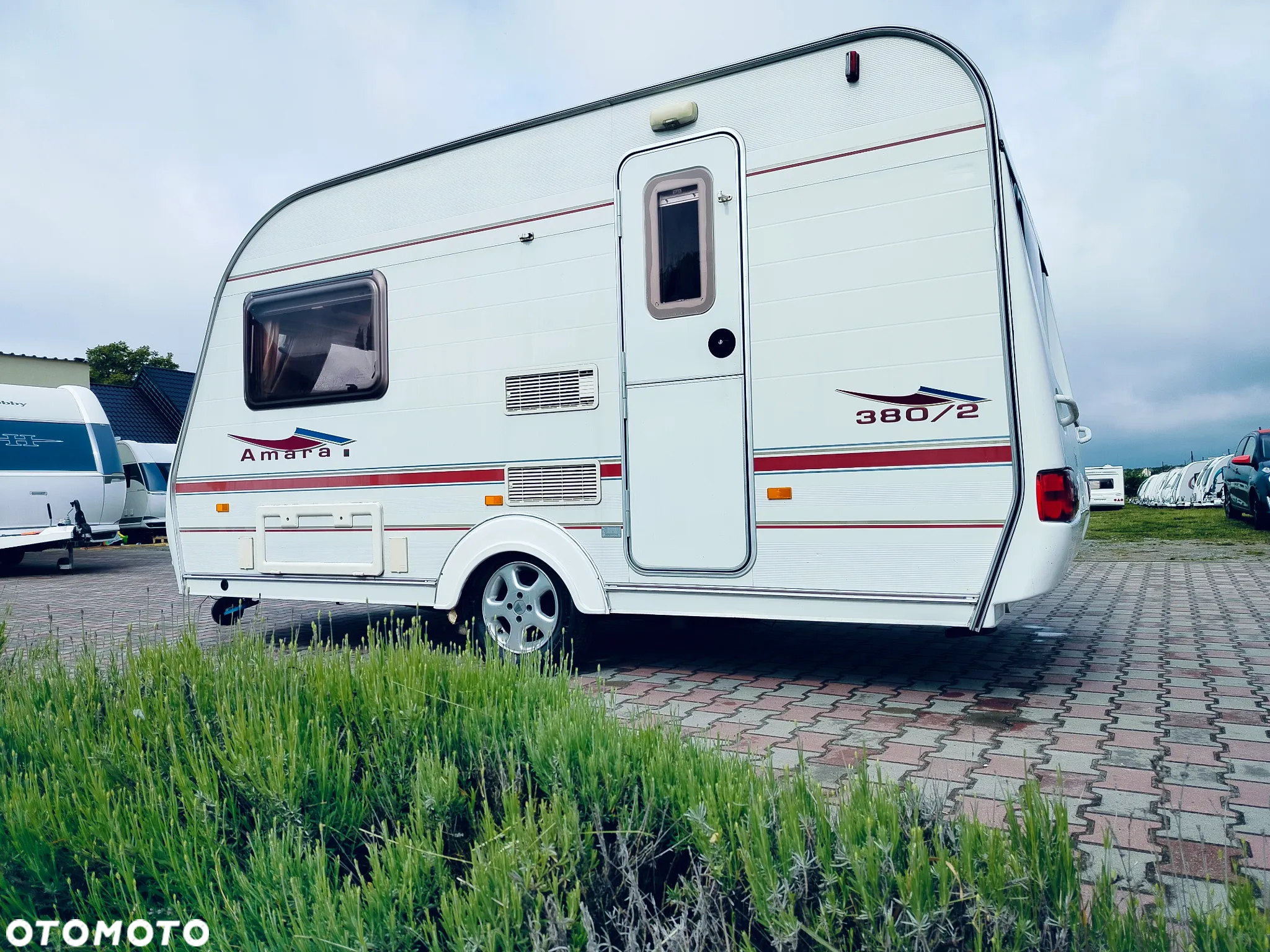 Coachman Amara - 2