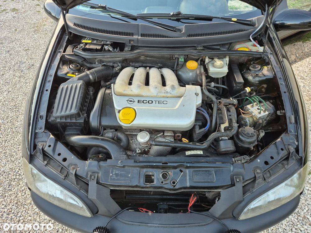 Opel Tigra 1.6 - 18