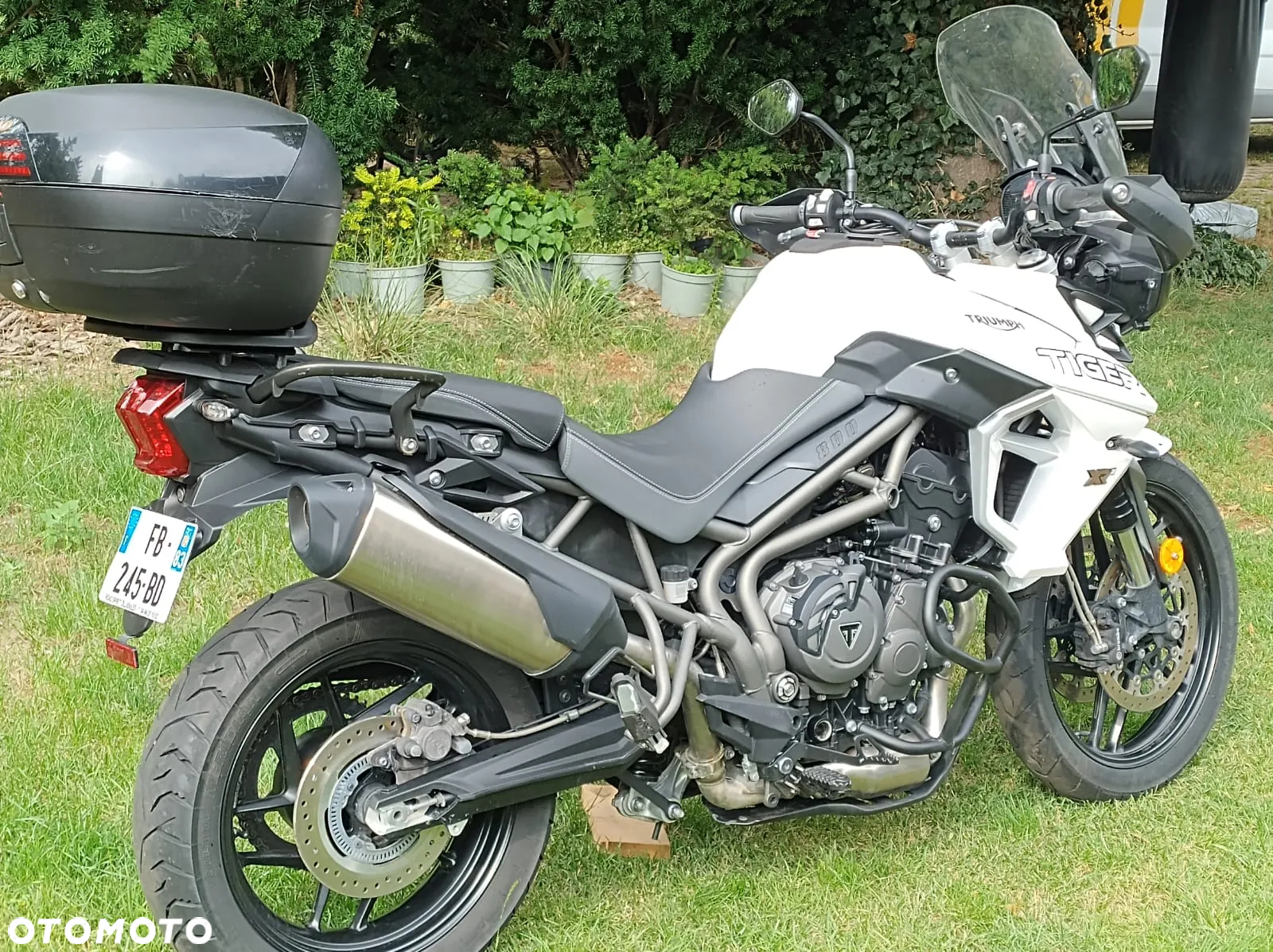 Suzuki DL - 4