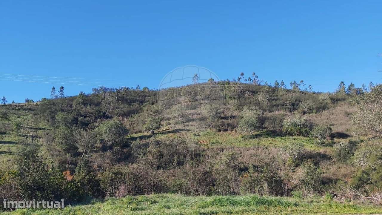 Terreno  para venda - Grande imagem: 2/8