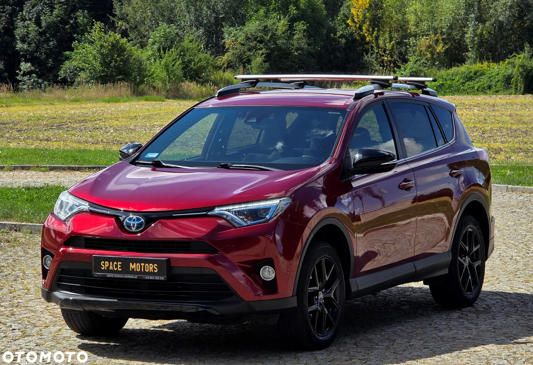 Toyota RAV4 Hybrid Selection 4x4 - 7