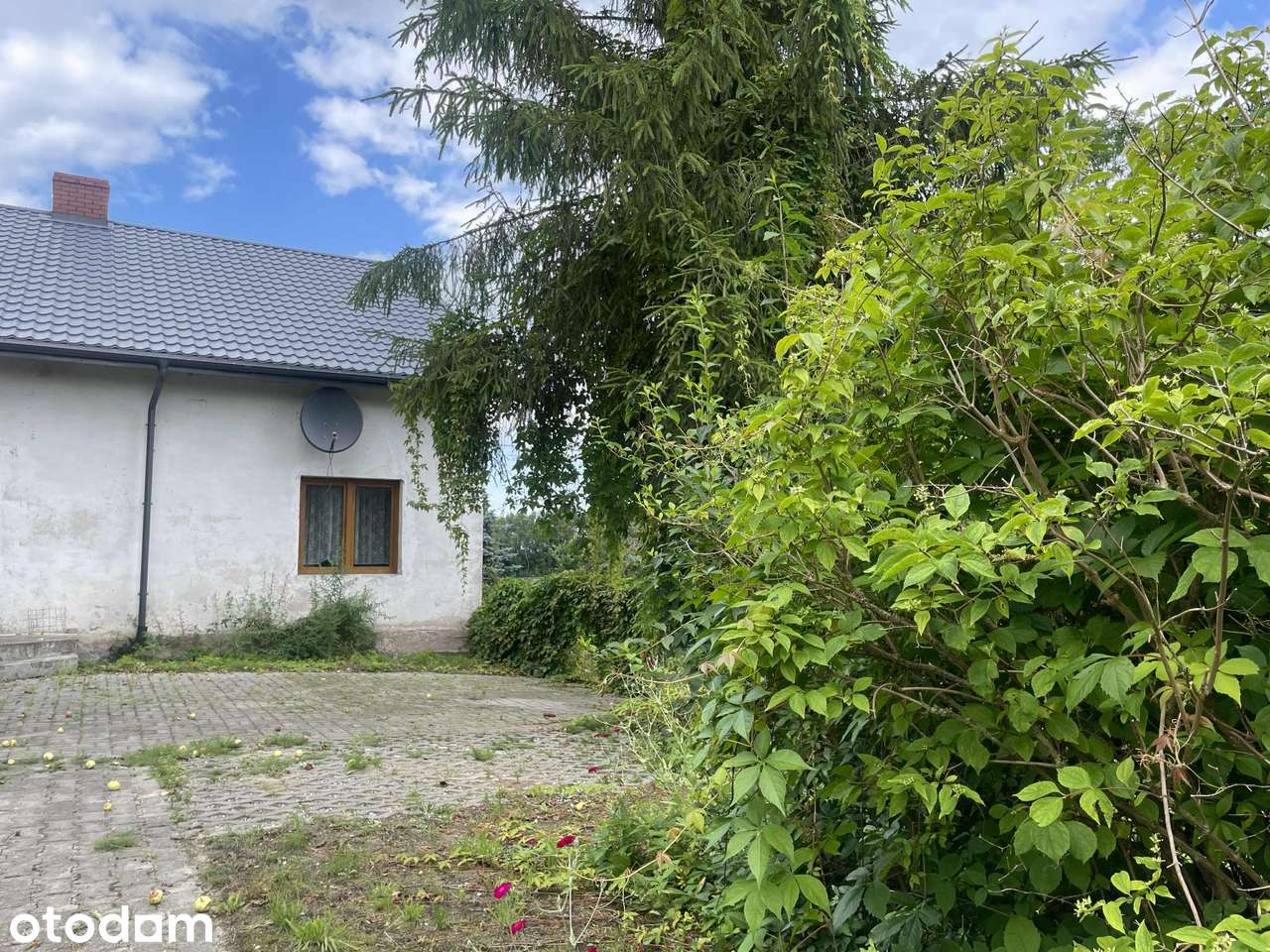 Dom, 150 m², Lesiska - Pełny obrazek: 4/10