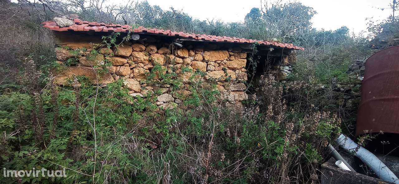 Terreno Rústico  Venda em Igreja Nova e Cheleiros,Mafra - Grande imagem: 2/24